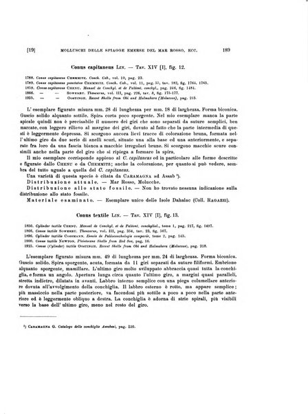 Palaeontographia Italica raccolta di monografie paleontologiche fondata da Mario Canavari nell'anno 1895