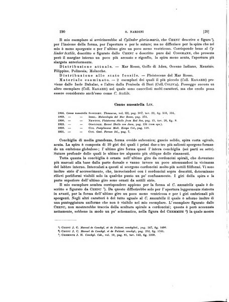 Palaeontographia Italica raccolta di monografie paleontologiche fondata da Mario Canavari nell'anno 1895