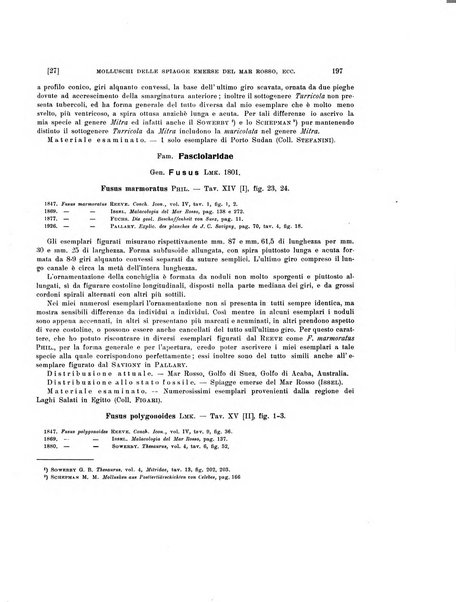 Palaeontographia Italica raccolta di monografie paleontologiche fondata da Mario Canavari nell'anno 1895