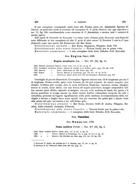 Palaeontographia Italica raccolta di monografie paleontologiche fondata da Mario Canavari nell'anno 1895