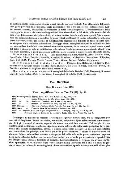 Palaeontographia Italica raccolta di monografie paleontologiche fondata da Mario Canavari nell'anno 1895