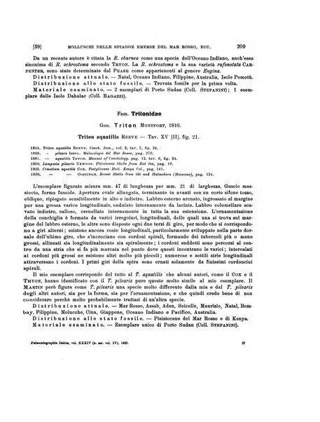 Palaeontographia Italica raccolta di monografie paleontologiche fondata da Mario Canavari nell'anno 1895