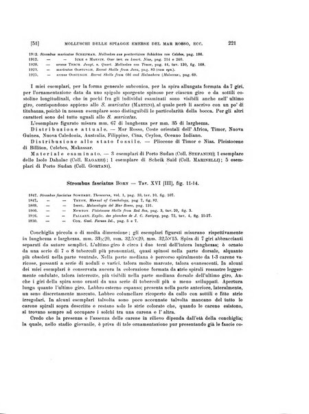 Palaeontographia Italica raccolta di monografie paleontologiche fondata da Mario Canavari nell'anno 1895