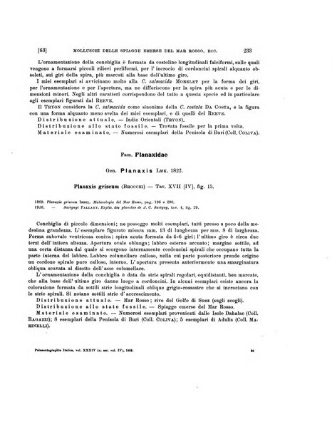 Palaeontographia Italica raccolta di monografie paleontologiche fondata da Mario Canavari nell'anno 1895