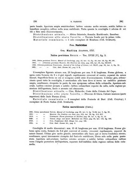 Palaeontographia Italica raccolta di monografie paleontologiche fondata da Mario Canavari nell'anno 1895