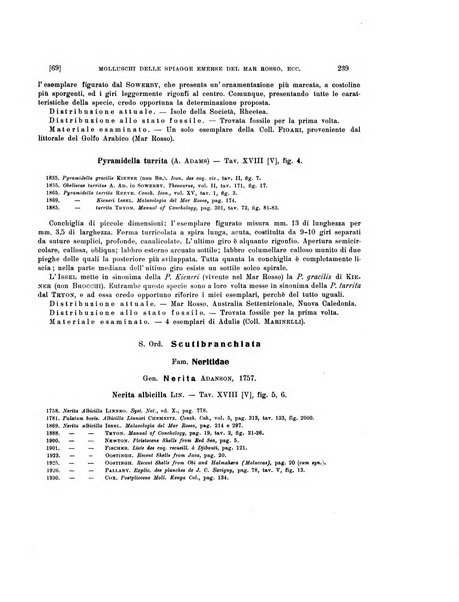 Palaeontographia Italica raccolta di monografie paleontologiche fondata da Mario Canavari nell'anno 1895