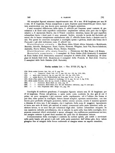 Palaeontographia Italica raccolta di monografie paleontologiche fondata da Mario Canavari nell'anno 1895