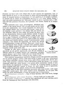 giornale/VEA0025754/1933/unico/00000261