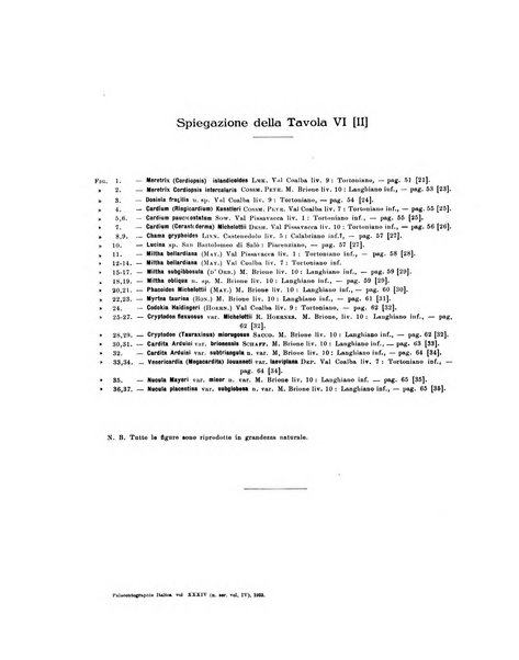 Palaeontographia Italica raccolta di monografie paleontologiche fondata da Mario Canavari nell'anno 1895