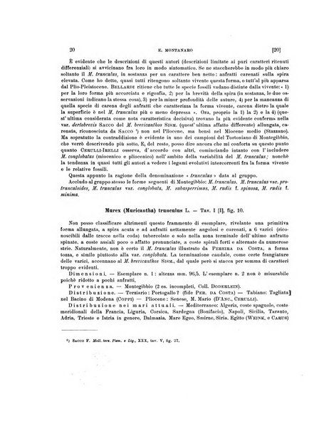 Palaeontographia Italica raccolta di monografie paleontologiche fondata da Mario Canavari nell'anno 1895