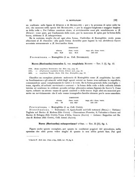 Palaeontographia Italica raccolta di monografie paleontologiche fondata da Mario Canavari nell'anno 1895