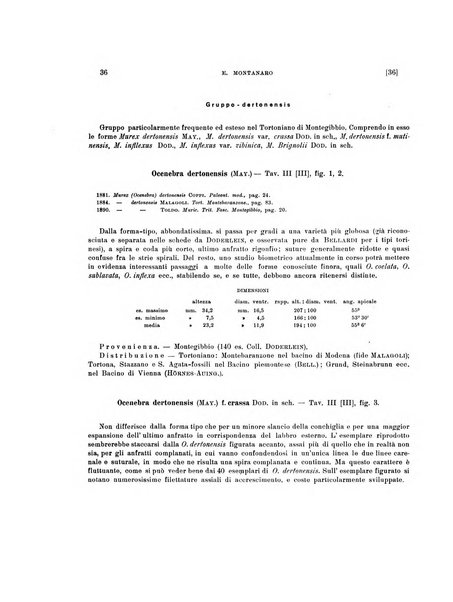 Palaeontographia Italica raccolta di monografie paleontologiche fondata da Mario Canavari nell'anno 1895