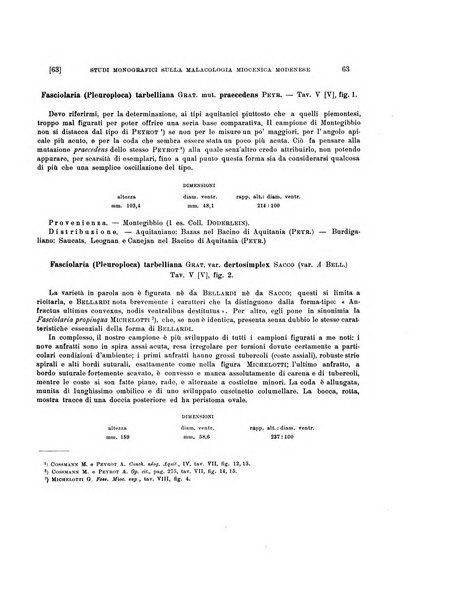 Palaeontographia Italica raccolta di monografie paleontologiche fondata da Mario Canavari nell'anno 1895