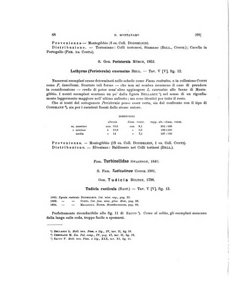 Palaeontographia Italica raccolta di monografie paleontologiche fondata da Mario Canavari nell'anno 1895