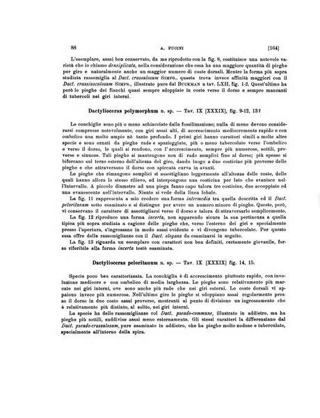 Palaeontographia Italica raccolta di monografie paleontologiche fondata da Mario Canavari nell'anno 1895