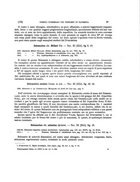 Palaeontographia Italica raccolta di monografie paleontologiche fondata da Mario Canavari nell'anno 1895