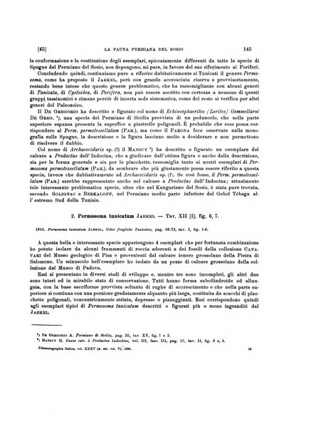 Palaeontographia Italica raccolta di monografie paleontologiche fondata da Mario Canavari nell'anno 1895