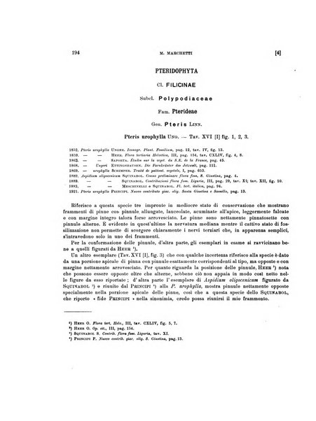 Palaeontographia Italica raccolta di monografie paleontologiche fondata da Mario Canavari nell'anno 1895