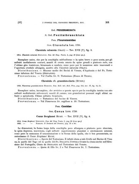 Palaeontographia Italica raccolta di monografie paleontologiche fondata da Mario Canavari nell'anno 1895