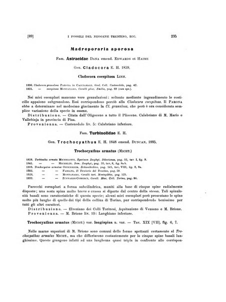 Palaeontographia Italica raccolta di monografie paleontologiche fondata da Mario Canavari nell'anno 1895