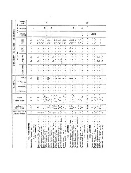 Palaeontographia Italica raccolta di monografie paleontologiche fondata da Mario Canavari nell'anno 1895