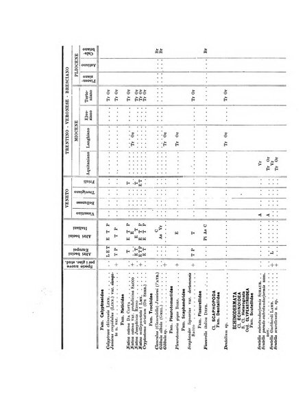 Palaeontographia Italica raccolta di monografie paleontologiche fondata da Mario Canavari nell'anno 1895