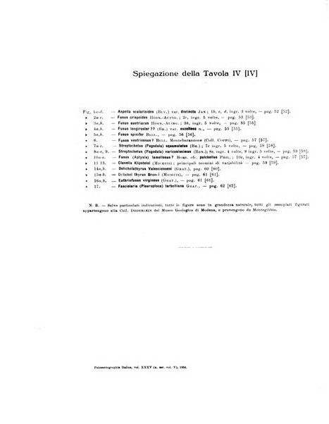 Palaeontographia Italica raccolta di monografie paleontologiche fondata da Mario Canavari nell'anno 1895