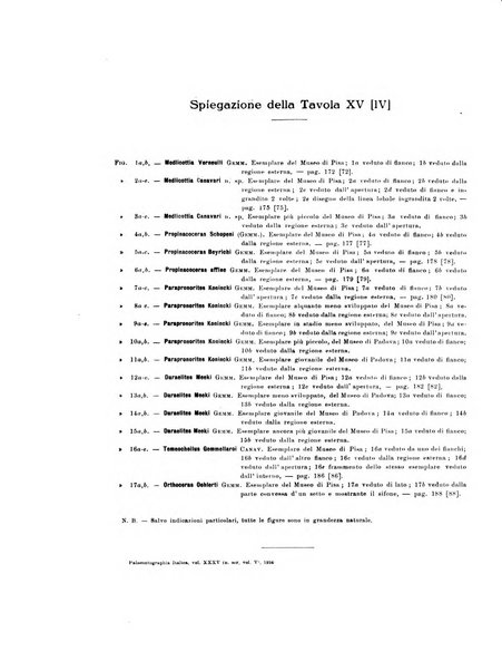 Palaeontographia Italica raccolta di monografie paleontologiche fondata da Mario Canavari nell'anno 1895