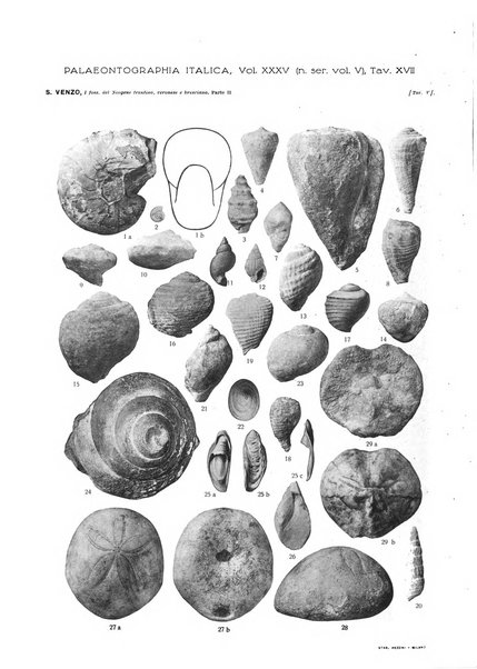 Palaeontographia Italica raccolta di monografie paleontologiche fondata da Mario Canavari nell'anno 1895