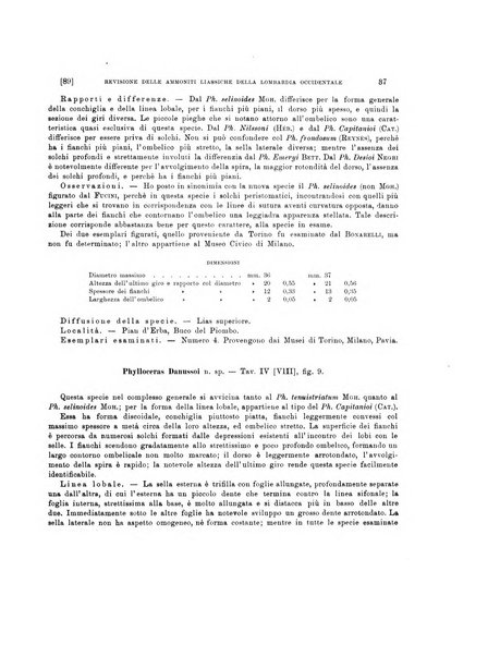 Palaeontographia Italica raccolta di monografie paleontologiche fondata da Mario Canavari nell'anno 1895