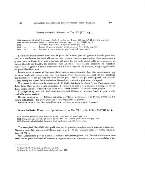 Palaeontographia Italica raccolta di monografie paleontologiche fondata da Mario Canavari nell'anno 1895