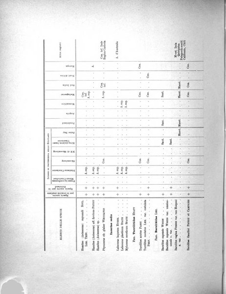 Palaeontographia Italica raccolta di monografie paleontologiche fondata da Mario Canavari nell'anno 1895