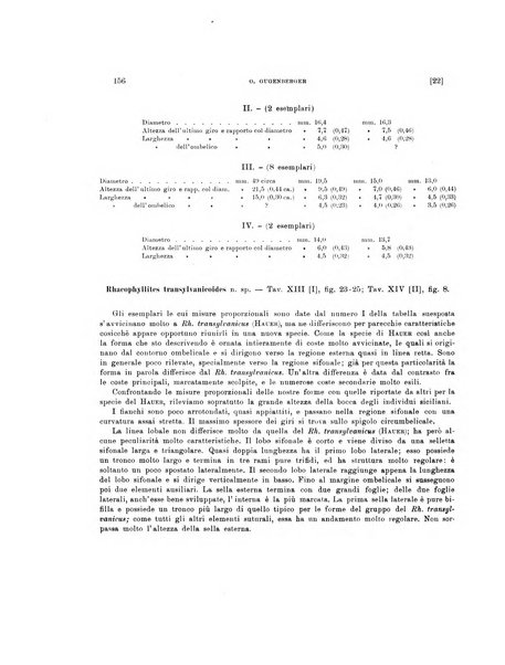 Palaeontographia Italica raccolta di monografie paleontologiche fondata da Mario Canavari nell'anno 1895