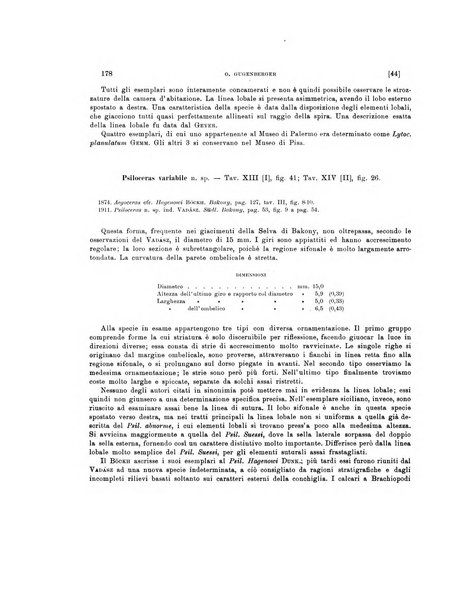 Palaeontographia Italica raccolta di monografie paleontologiche fondata da Mario Canavari nell'anno 1895