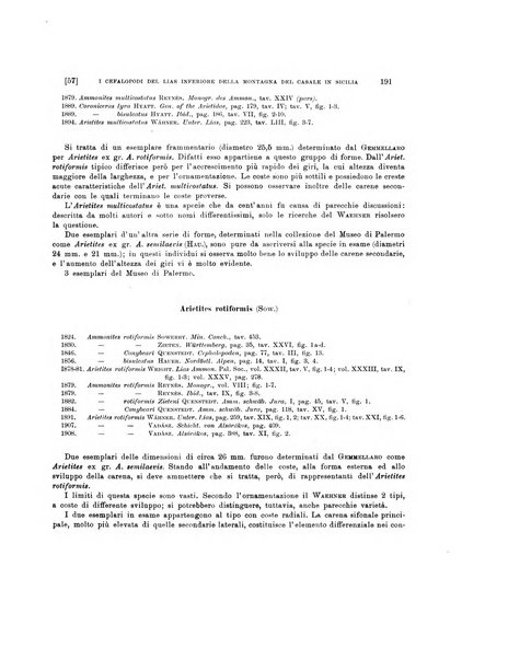 Palaeontographia Italica raccolta di monografie paleontologiche fondata da Mario Canavari nell'anno 1895