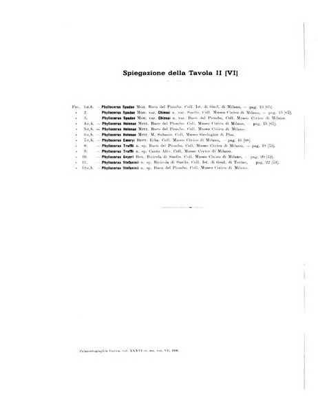 Palaeontographia Italica raccolta di monografie paleontologiche fondata da Mario Canavari nell'anno 1895