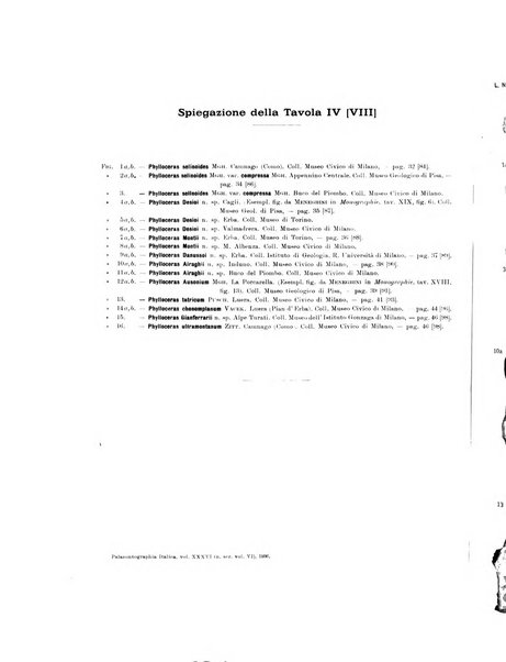 Palaeontographia Italica raccolta di monografie paleontologiche fondata da Mario Canavari nell'anno 1895