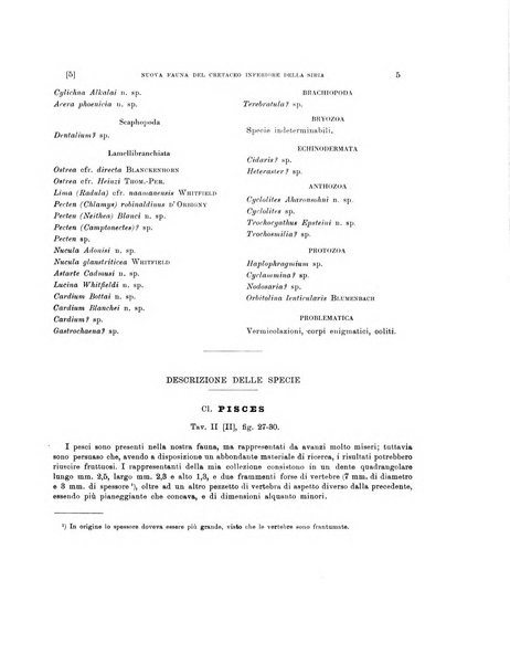 Palaeontographia Italica raccolta di monografie paleontologiche fondata da Mario Canavari nell'anno 1895