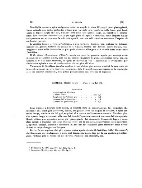 Palaeontographia Italica raccolta di monografie paleontologiche fondata da Mario Canavari nell'anno 1895