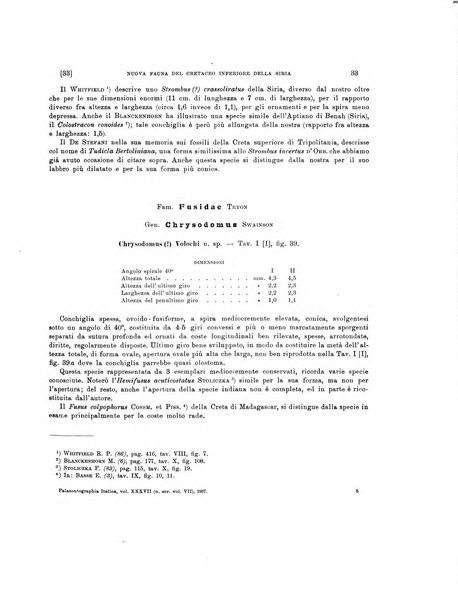 Palaeontographia Italica raccolta di monografie paleontologiche fondata da Mario Canavari nell'anno 1895