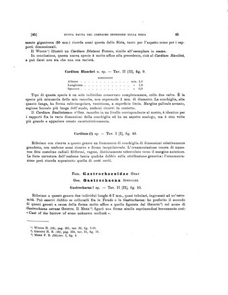 Palaeontographia Italica raccolta di monografie paleontologiche fondata da Mario Canavari nell'anno 1895