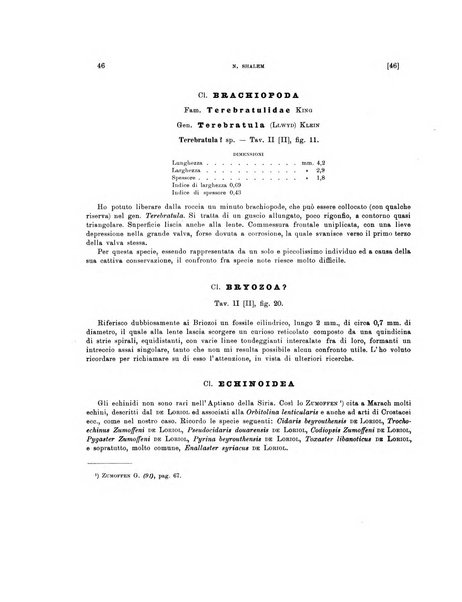 Palaeontographia Italica raccolta di monografie paleontologiche fondata da Mario Canavari nell'anno 1895