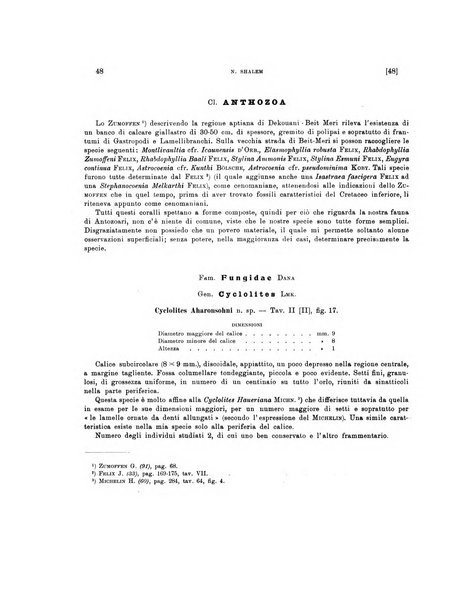 Palaeontographia Italica raccolta di monografie paleontologiche fondata da Mario Canavari nell'anno 1895