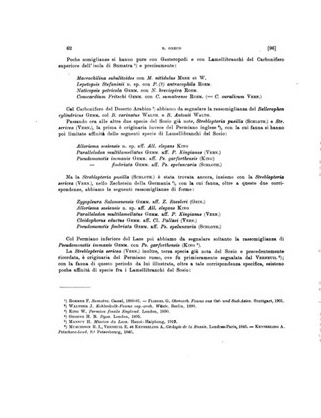 Palaeontographia Italica raccolta di monografie paleontologiche fondata da Mario Canavari nell'anno 1895