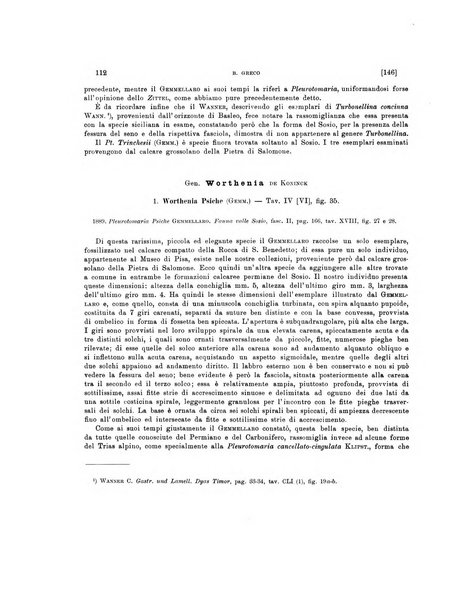 Palaeontographia Italica raccolta di monografie paleontologiche fondata da Mario Canavari nell'anno 1895