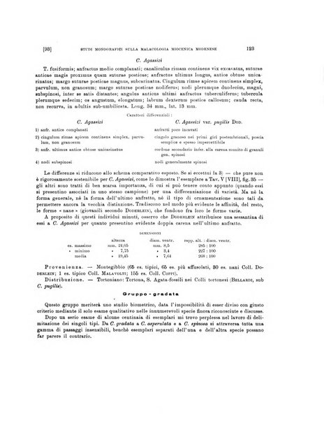 Palaeontographia Italica raccolta di monografie paleontologiche fondata da Mario Canavari nell'anno 1895