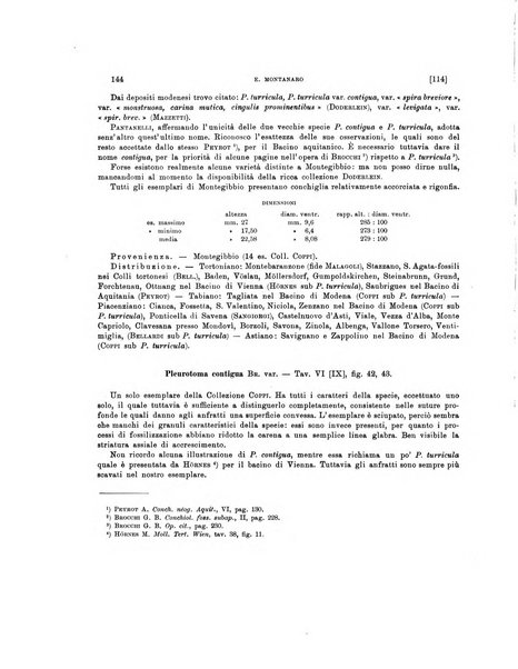 Palaeontographia Italica raccolta di monografie paleontologiche fondata da Mario Canavari nell'anno 1895