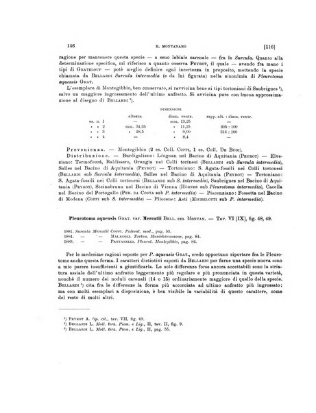 Palaeontographia Italica raccolta di monografie paleontologiche fondata da Mario Canavari nell'anno 1895