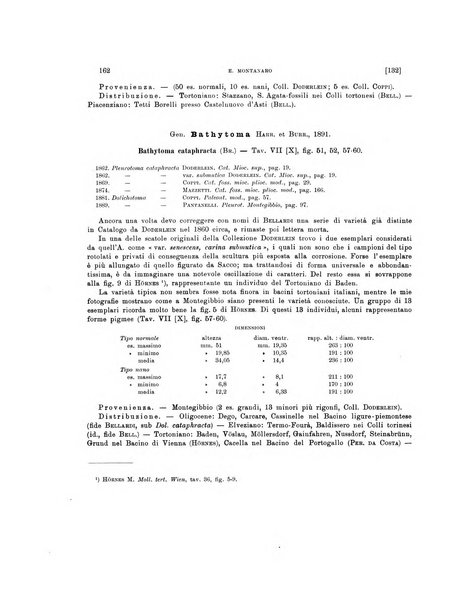 Palaeontographia Italica raccolta di monografie paleontologiche fondata da Mario Canavari nell'anno 1895