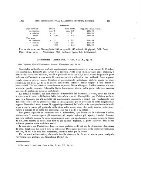 Palaeontographia Italica raccolta di monografie paleontologiche fondata da Mario Canavari nell'anno 1895